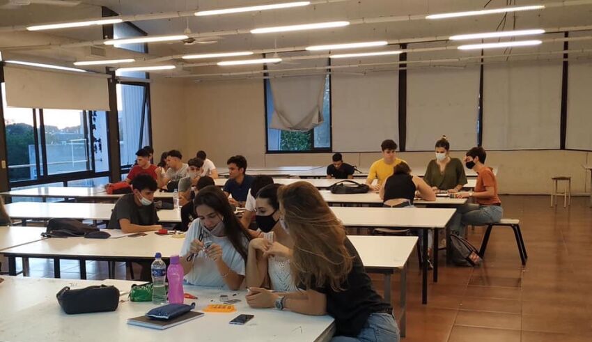 Universidad / educación superior